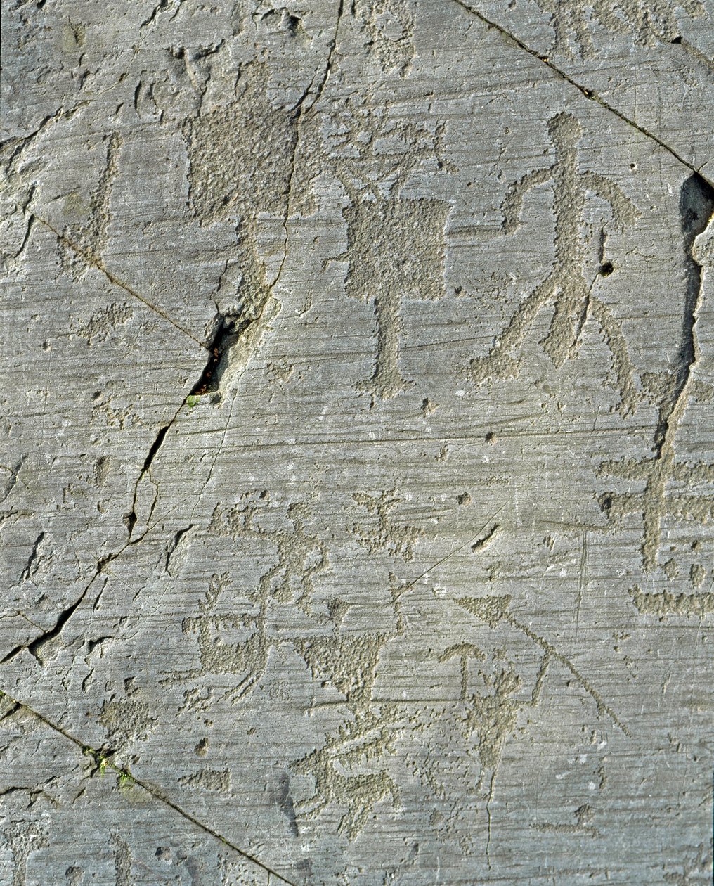 Förhistoria, Camunni civilisation, hällkonst: en gravsten av hjortjaktsscener och vardagsliv i en by. Period mellan yngre stenåldern och bronsåldern. Capo di Ponte, Naquane Rock Engravings National Park, Valcamonica, Val Camonica, av Prehistoric Prehistoric