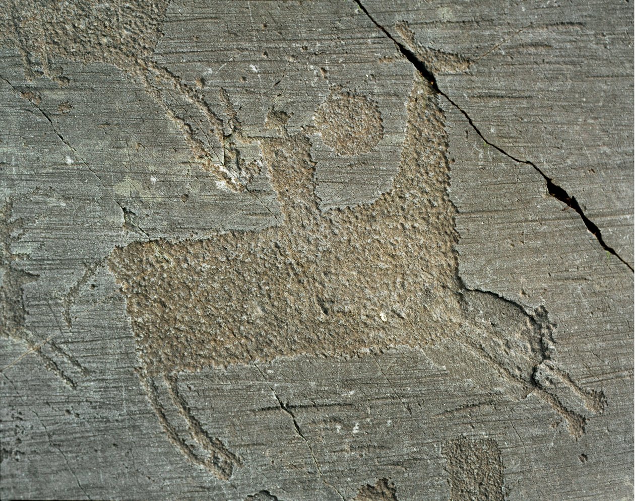 Förhistoria, Camunni civilisation, hällkonst: gravsten som föreställer en krigare till häst med en sköld. Period mellan yngre stenåldern och bronsåldern. Capo di Ponte, Naquane Rock Carving National Park, Valcamonica, Val Camonica, Italien av Prehistoric Prehistoric