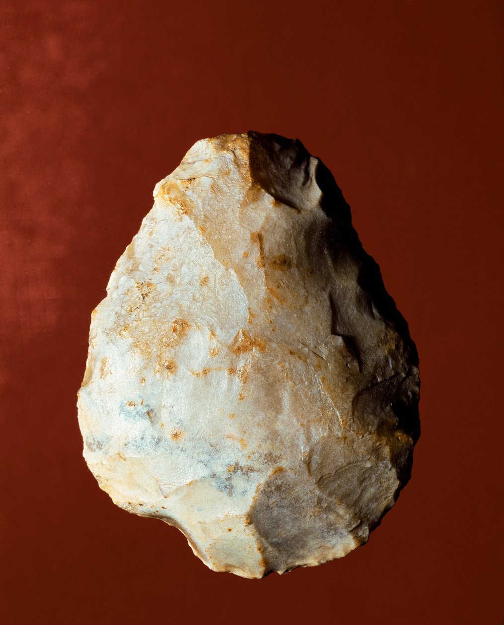 Förhistoria: Litisk tillverkning biface av Micoquian typ. Nedre paleolitikum. Verone, Museo Civico di Storia Naturale, Italien av Prehistoric Prehistoric