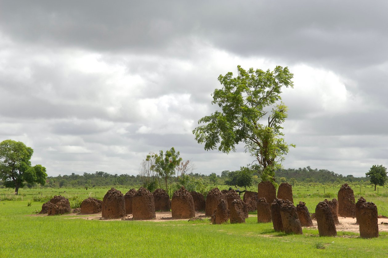 Förhistoria: Megalitisk cirkel av stenar från Wassu, Gambia (foto) av Prehistoric Prehistoric