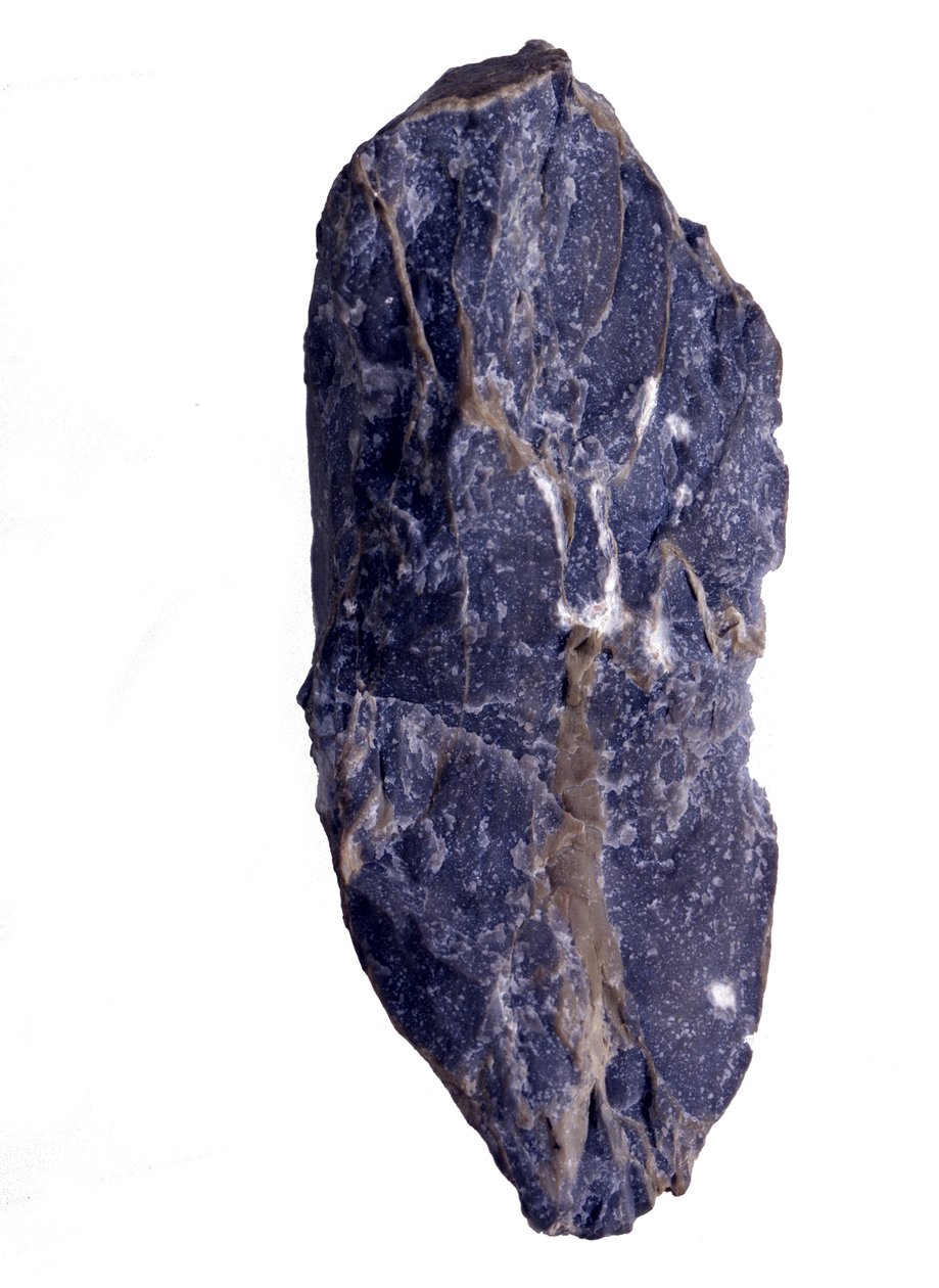 Förhistoria: Perioder av det arkeozoiska eller prekambriska (arkaiska) fragmentet av Collenia-bergarten av stromatolit- eller stromatolittyp. Från USA. av Prehistoric Prehistoric