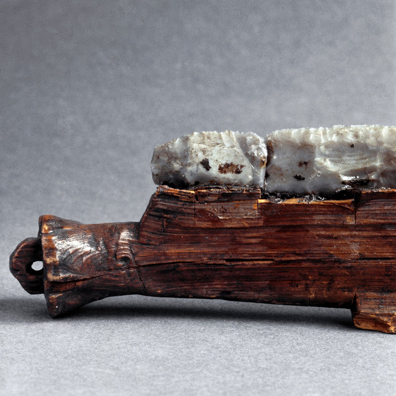 Förhistoria, Polada-kultur: såg från Polada Tourbiere, Lonato. Bronsåldern. Rom, Luigi Pigorini Nationalmuseum för förhistorisk etnografi av Prehistoric Prehistoric