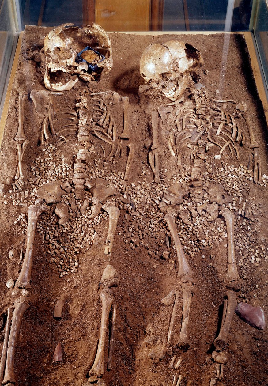 Förhistoria: Skelett av två barn. 30000-25000 f.Kr. Från Grimaldi-grottan. Saint Germain en Laye, Museum of National Archaeology av Prehistoric Prehistoric