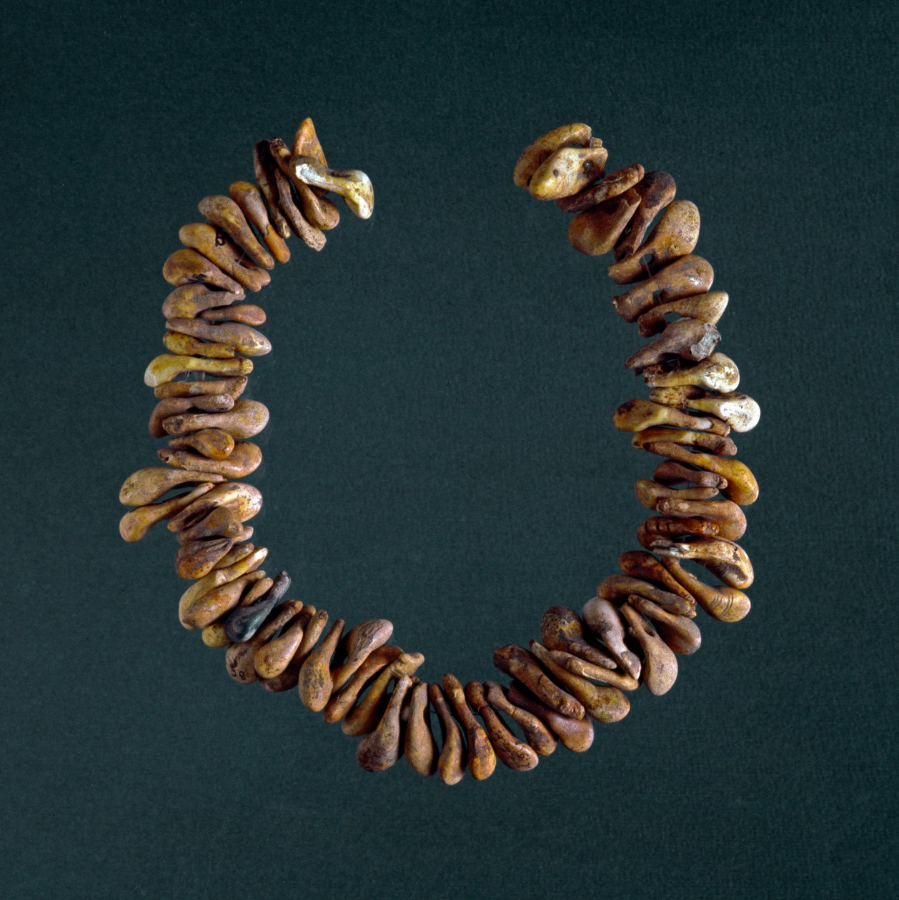 Förhistoria, stenåldern: halsband av ben från grottan i Polesine, Veneto. Rom, Luigi Pigorini Nationalmuseum för förhistorisk etnografi av Prehistoric Prehistoric