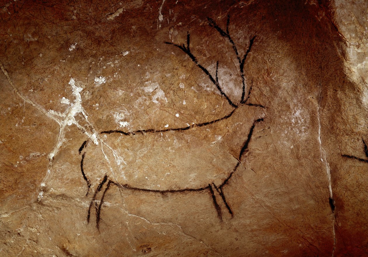 Förhistoria: ett rådjur. Övre paleolitisk grottmålning (magdalensk) (16 500 och 14 000 år sedan). Ålder av sten. Cave of Las Chimeneas, Monte Castillo, Spanien av Prehistoric Prehistoric