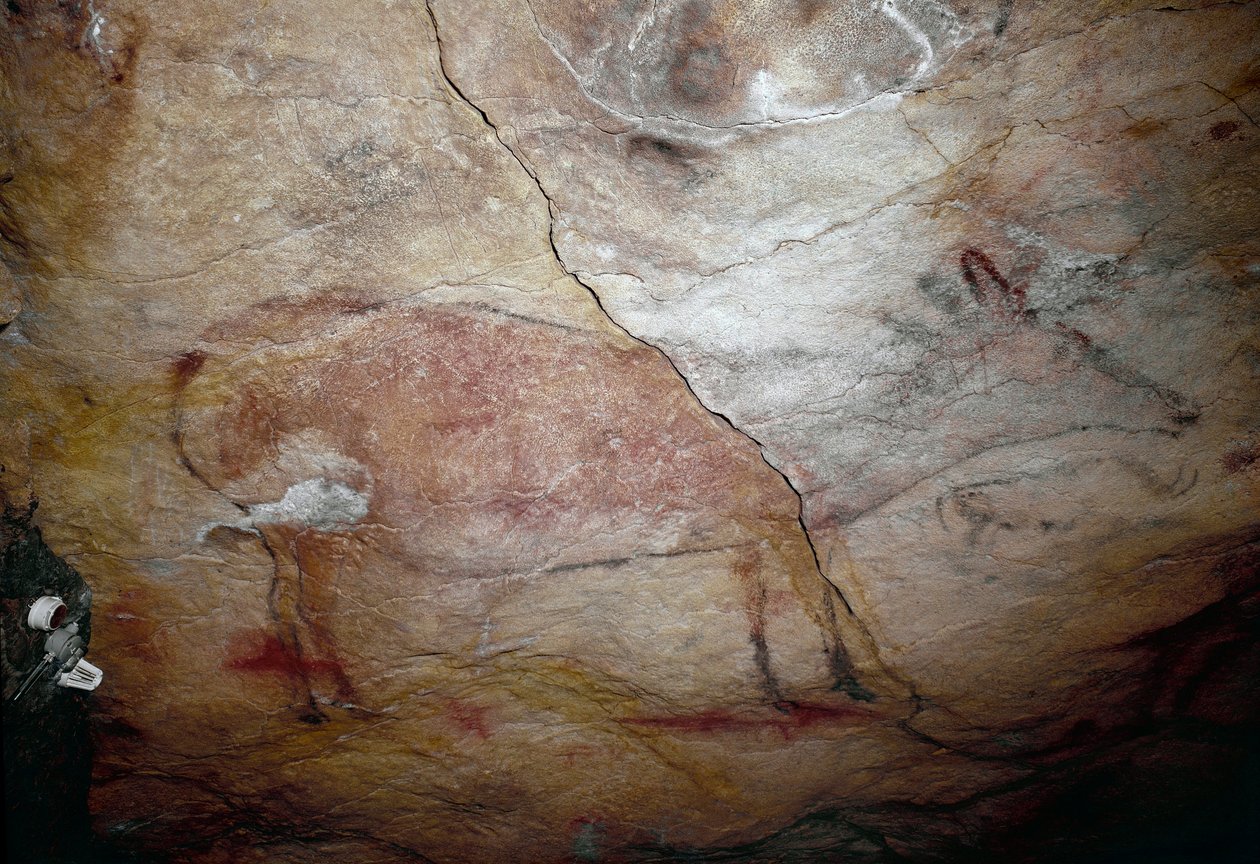 Förhistoria: "" ett rådjur"" klippmålning av övre paleolitikum (magdalenska) (mellan 16500 och 14000 år sedan) Stenåldersgrottan i Altamira, Santander, Spanien av Prehistoric Prehistoric