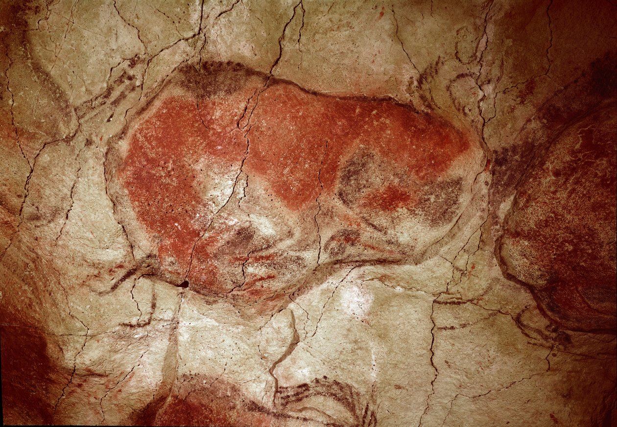 Förhistoria: "" bison i vila"" hällmålning av övre paleoloitikum (magdalenska) (mellan 16500 och 14000 år sedan) Stenålderns bisongrotta, Altamira, Santander, Spanien - Förhistoria: bison i vila. hällmålning, övre paleolitikum (magdalensk) (mellan 1 av Prehistoric Prehistoric