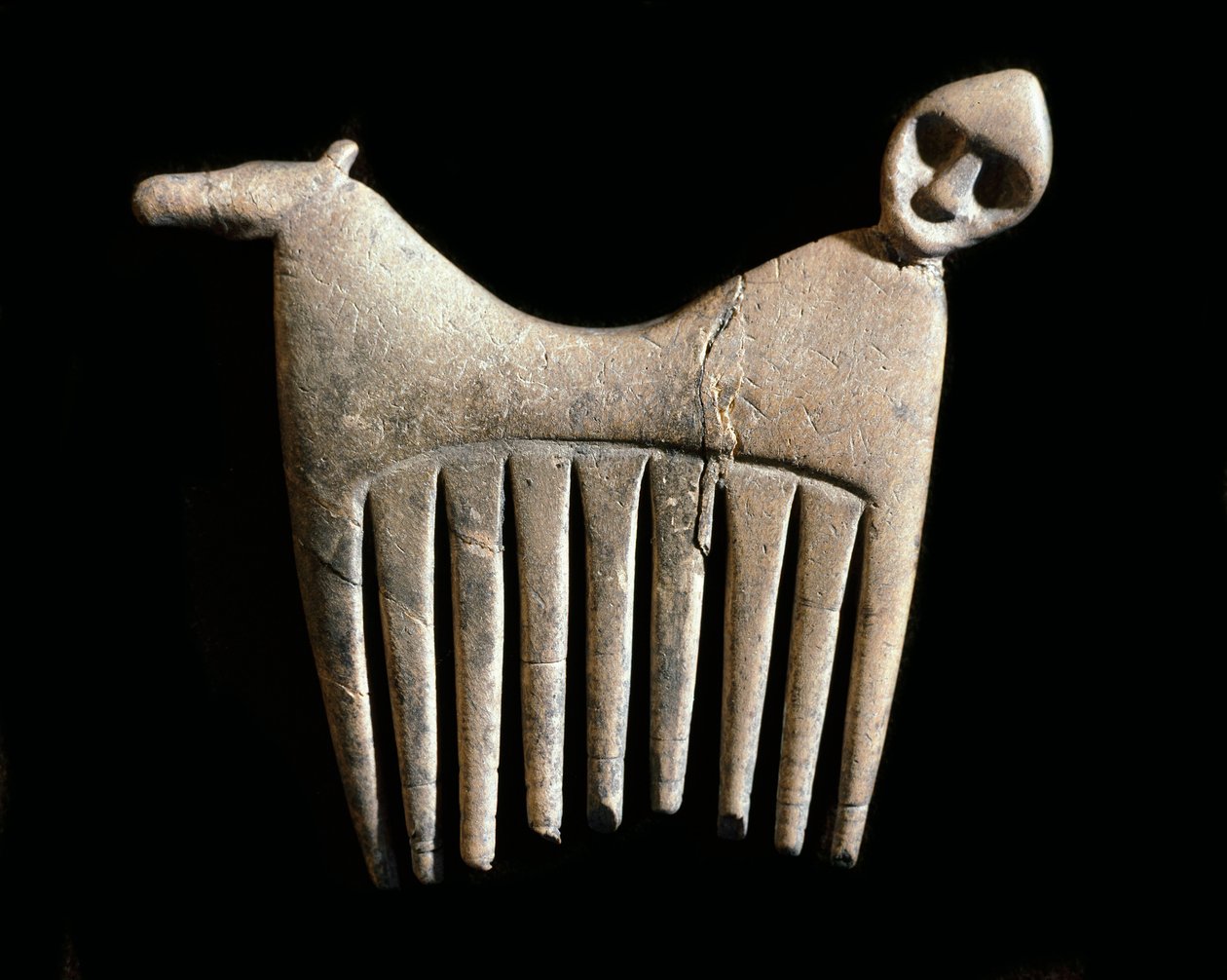 Förhistoria: benkam med ett huvud av man och häst från Gotland. Stenåldern. Riksantikvariemuseet, Stockholm, Sverige av Prehistoric Prehistoric