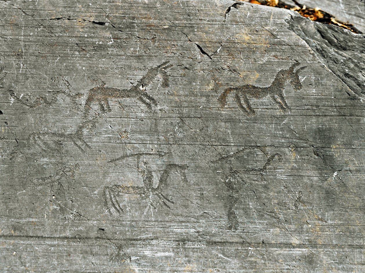 Förhistoria, civilisationen av Camunni, klippkonst: en gravklippa av en jaktscen, en jägare slår ett spjut. Period mellan yngre stenåldern och bronsåldern. Capo di Ponte, Naquane Rock Carving National Park, Valcamonica, Val Camonica, Italien av Prehistoric Prehistoric