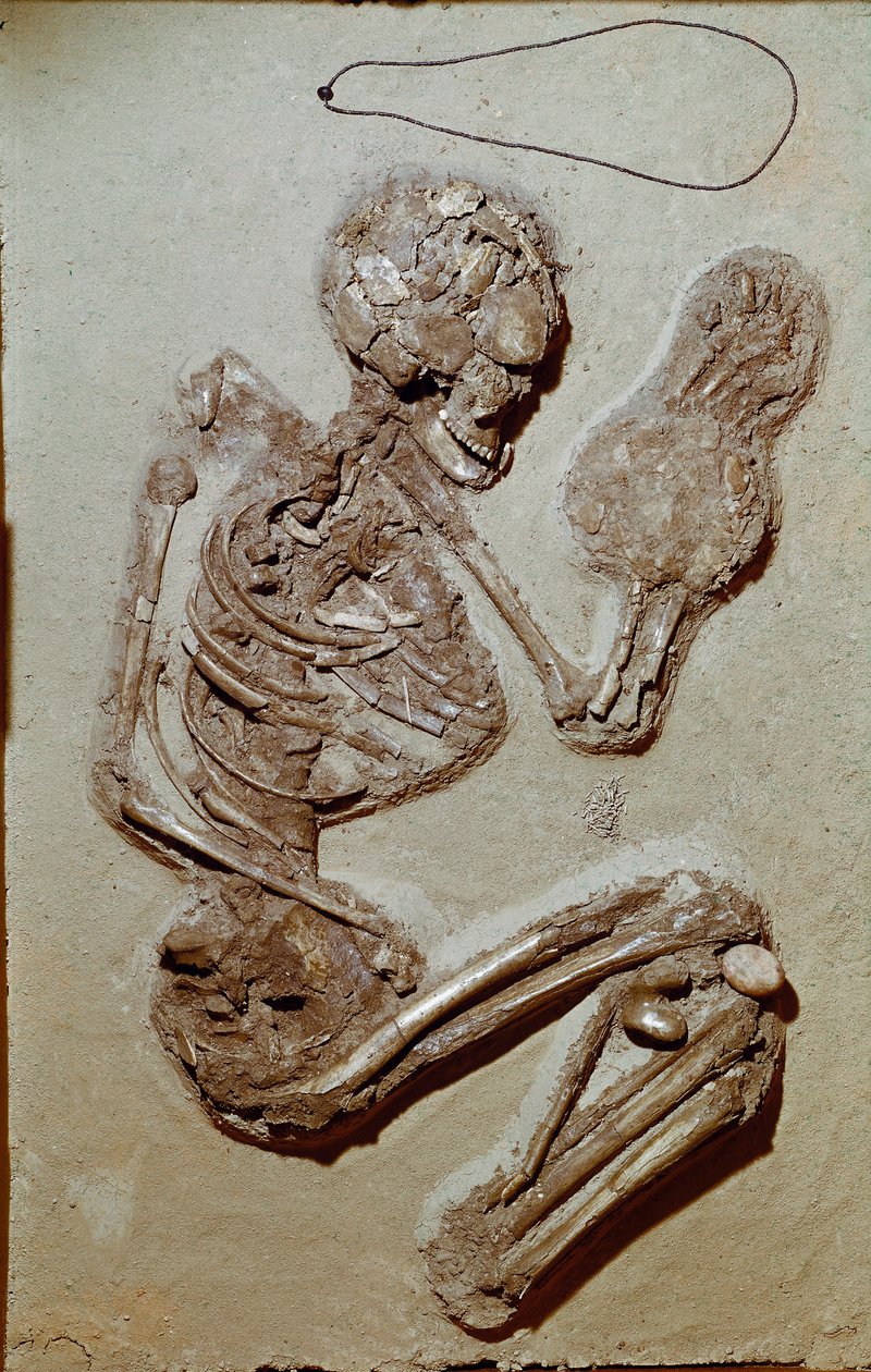 Förhistoria: kvinnligt skelett från övre neolitikum. Chiozzas kultur. 2900-2700 f.Kr. Reggio Emilia, Civic Museums, Chierici Museum, Italien av Prehistoric Prehistoric