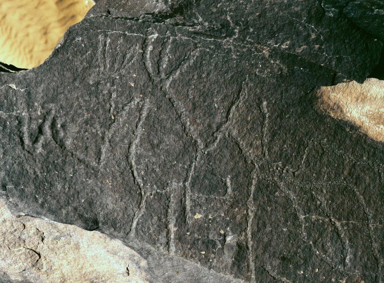 Förhistoria, hällkonst: seriös rock. Stenåldern 5000-2000 f.Kr. Taghit, Hoggar Highland (Ahaggar), Algeriet av Prehistoric Prehistoric