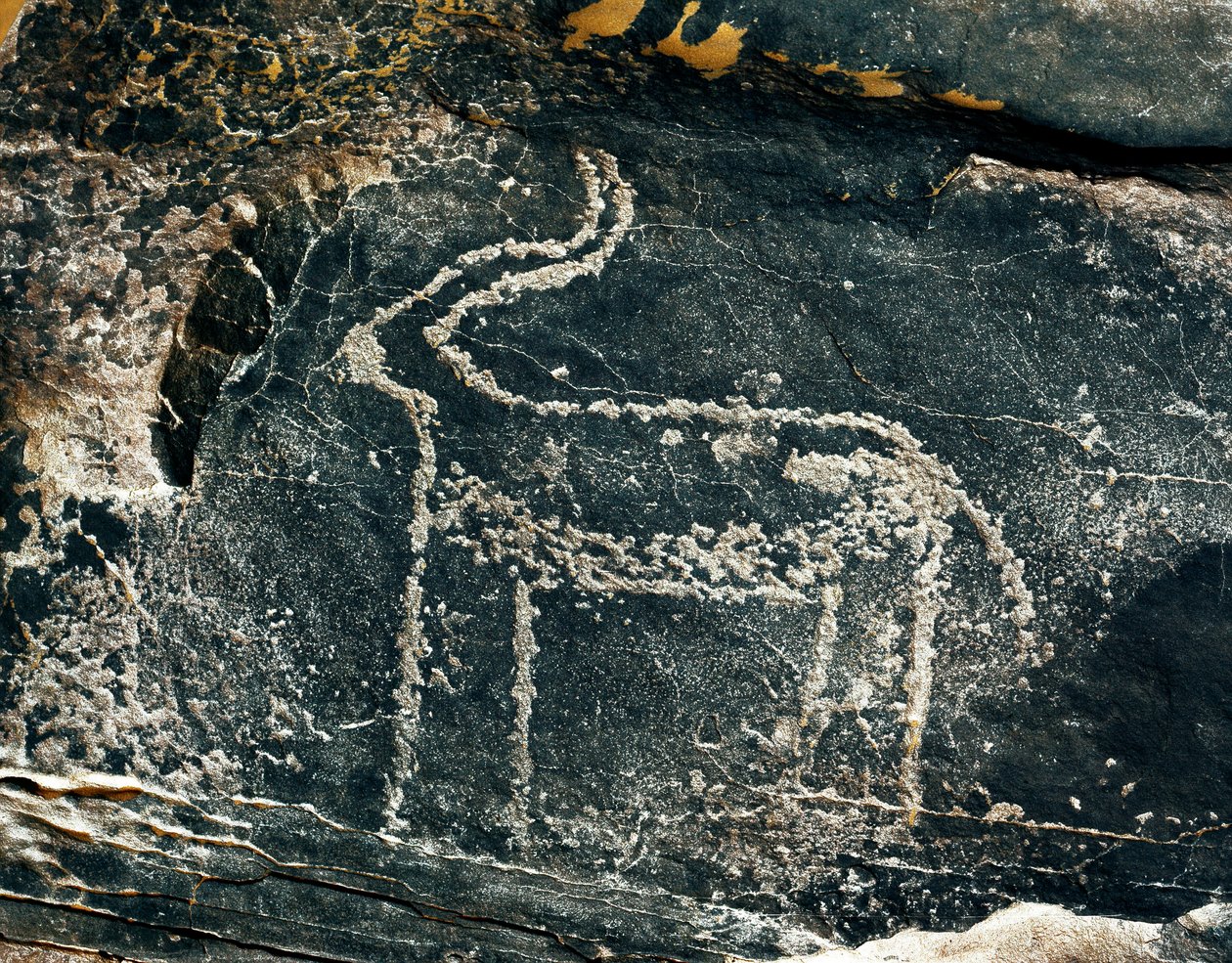 Förhistoria, hällkonst: gravsten av representationen av en antilop. Stenåldern 5000-2000 f.Kr. Taghit, Haut plateau du Hoggar (Ahaggar), Algeriet av Prehistoric Prehistoric