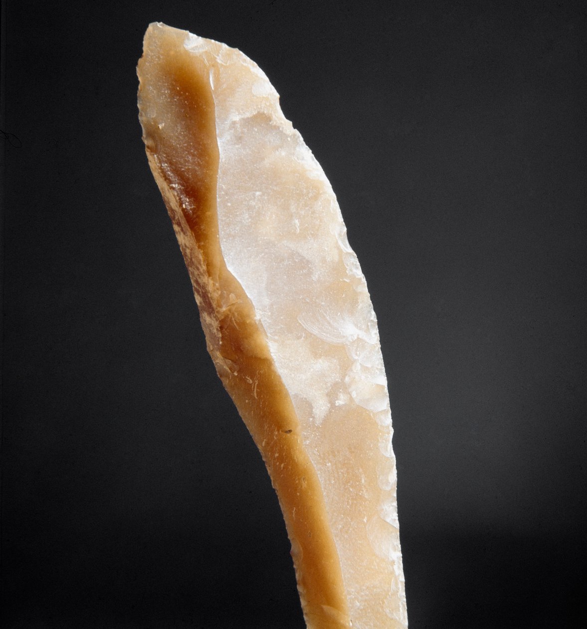 Förhistoria: spets av flinta från Necropole of Arene Candide (Finale Liguria), Liguria. Övre paleolitikum, stenålder. Gener, museo di archeologia ligure av Prehistoric Prehistoric
