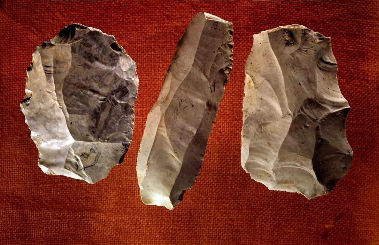 Förhistoria: opolerade snidade yxor. Neolitisk tid. Saint Germain en Laye, Museum of National Antiquities av Prehistoric Prehistoric