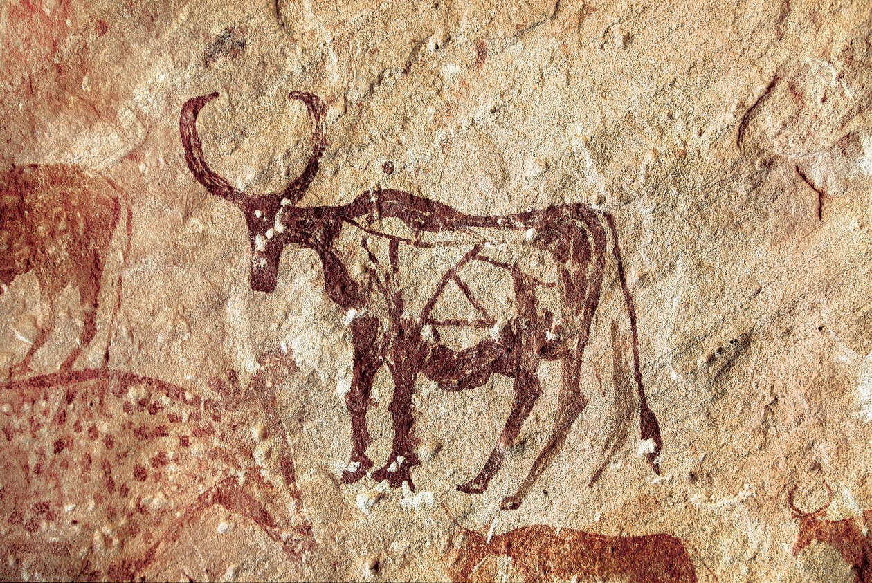 Hällmålning: representation av en hjortvilt. Grottan av Tadrart Acacus Libyen av Prehistoric Prehistoric