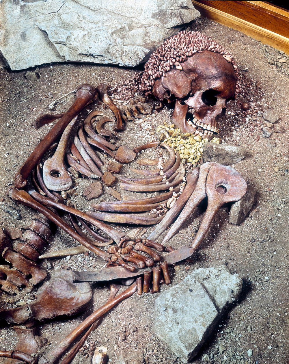 Graven av övre paleolitikum. Skelett av den etniska gruppen Combe Capelle hittades i grottan av Arene Candide känd som "den unge prinsen", i Ligurien. 16610 år f.Kr. av Prehistoric Prehistoric