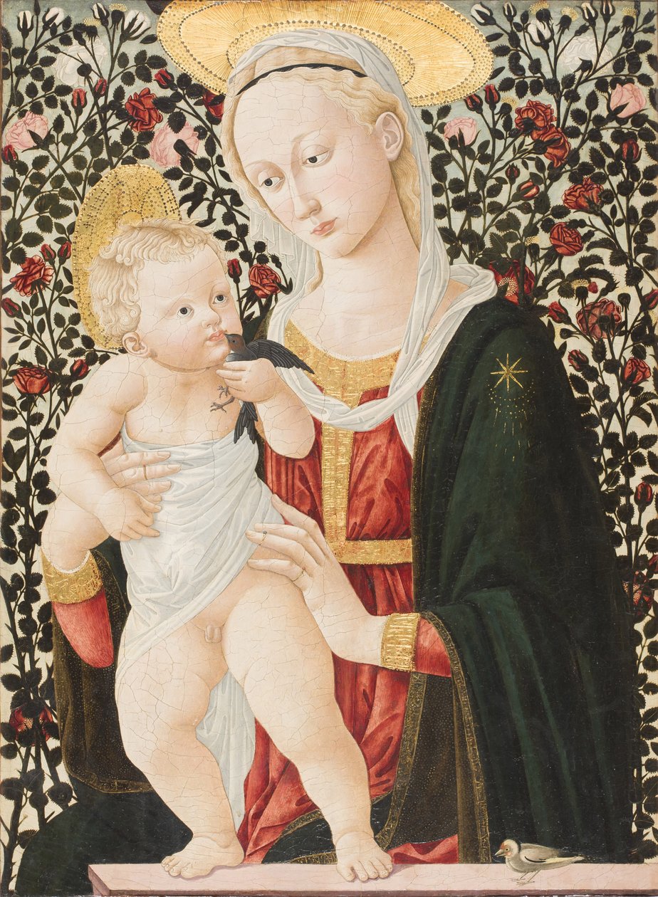 Madonna of the Roses, ca 1485-90 (tempera) av Pier Francesco Fiorentino