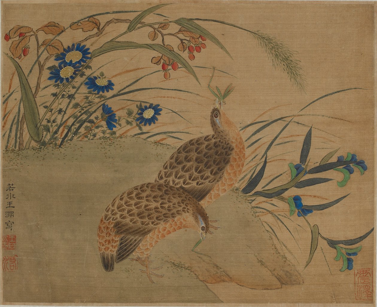 Två vaktel som äter gräshoppor under blommor av Qing Dynasty Chinese School