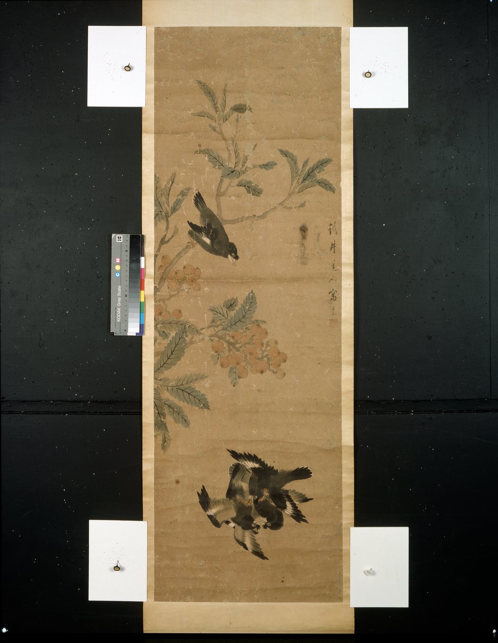 Fåglar och gren av Qing Dynasty Chinese School