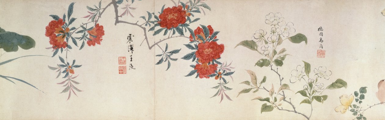 Blommor, Handscroll (bläck och färg på papper) av Qing Dynasty Chinese School