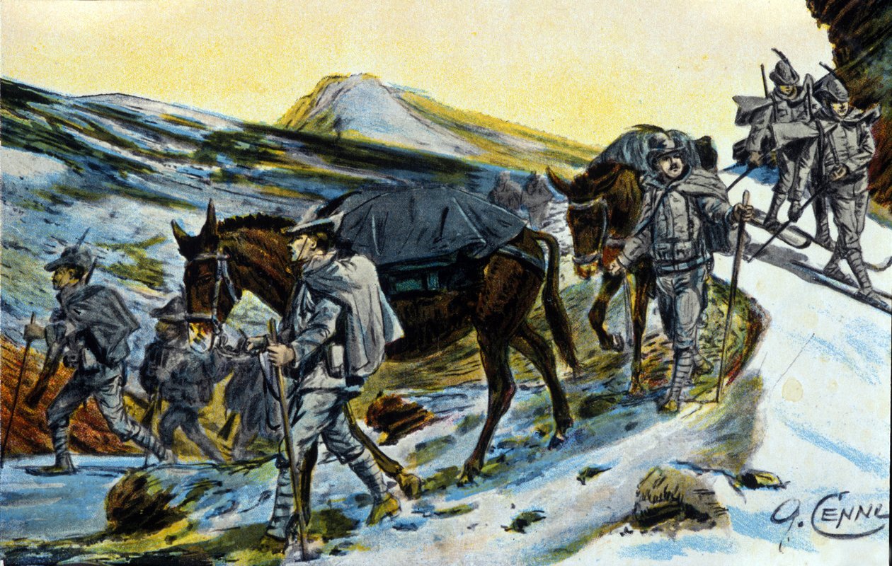 Första världskriget: grupp italienska alpjägare i erkännande med sina mulor 1915. Illustration av Quinto Cenni (1845-1917) av Quinto Cenni