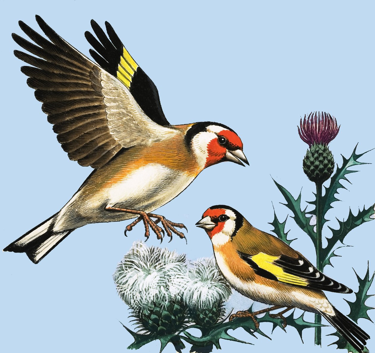 Landsbygden i september, illustration från "Peeps at Nature av R.B. Davis