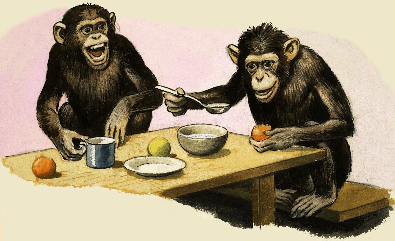 Z för Zoo. Schimpansens tebjudning av R.B. Davis