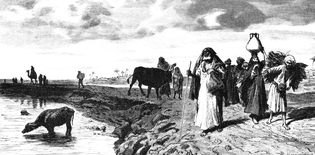 En Chaussee i deltat, vid tidpunkten för översvämningen, 1880 av R. Brandamour