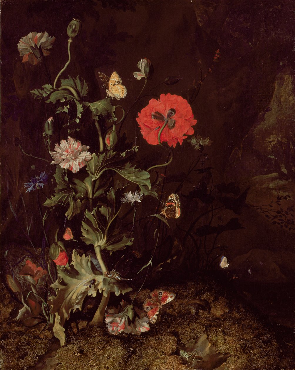 Skogsgolv stilleben med blommor och fjärilar av Rachel Ruysch