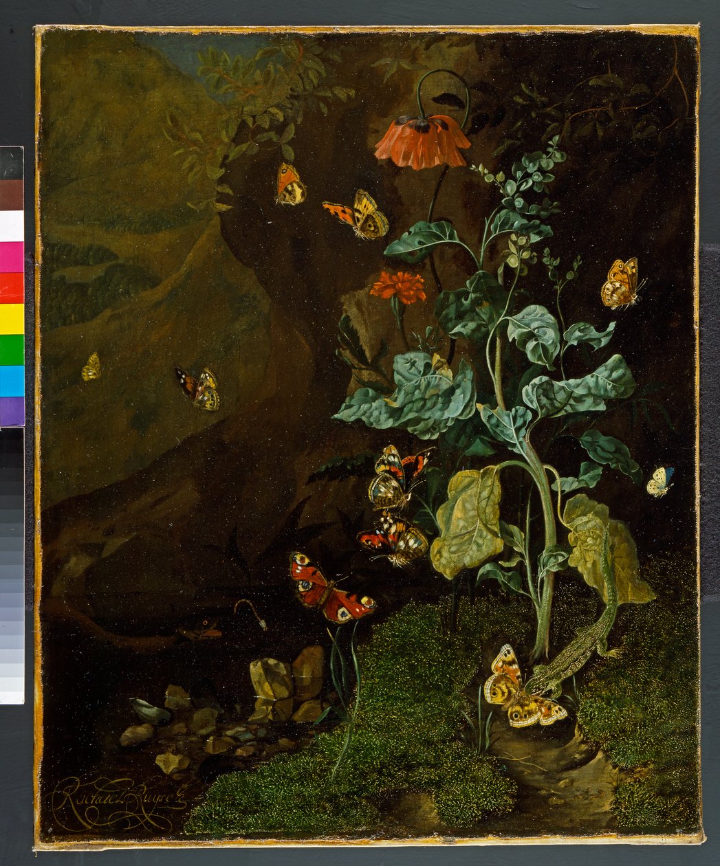 Ett stilleben med blommor, fjärilar och en ödla i en dell, före 1750 av Rachel Ruysch