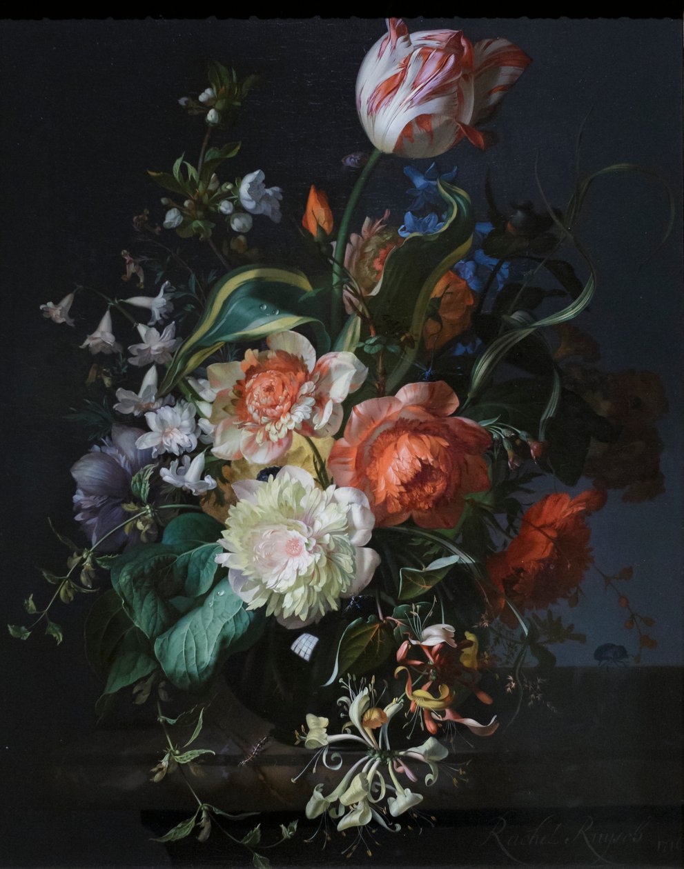 Blommor i en glasvas med en tulpan av Rachel Ruysch