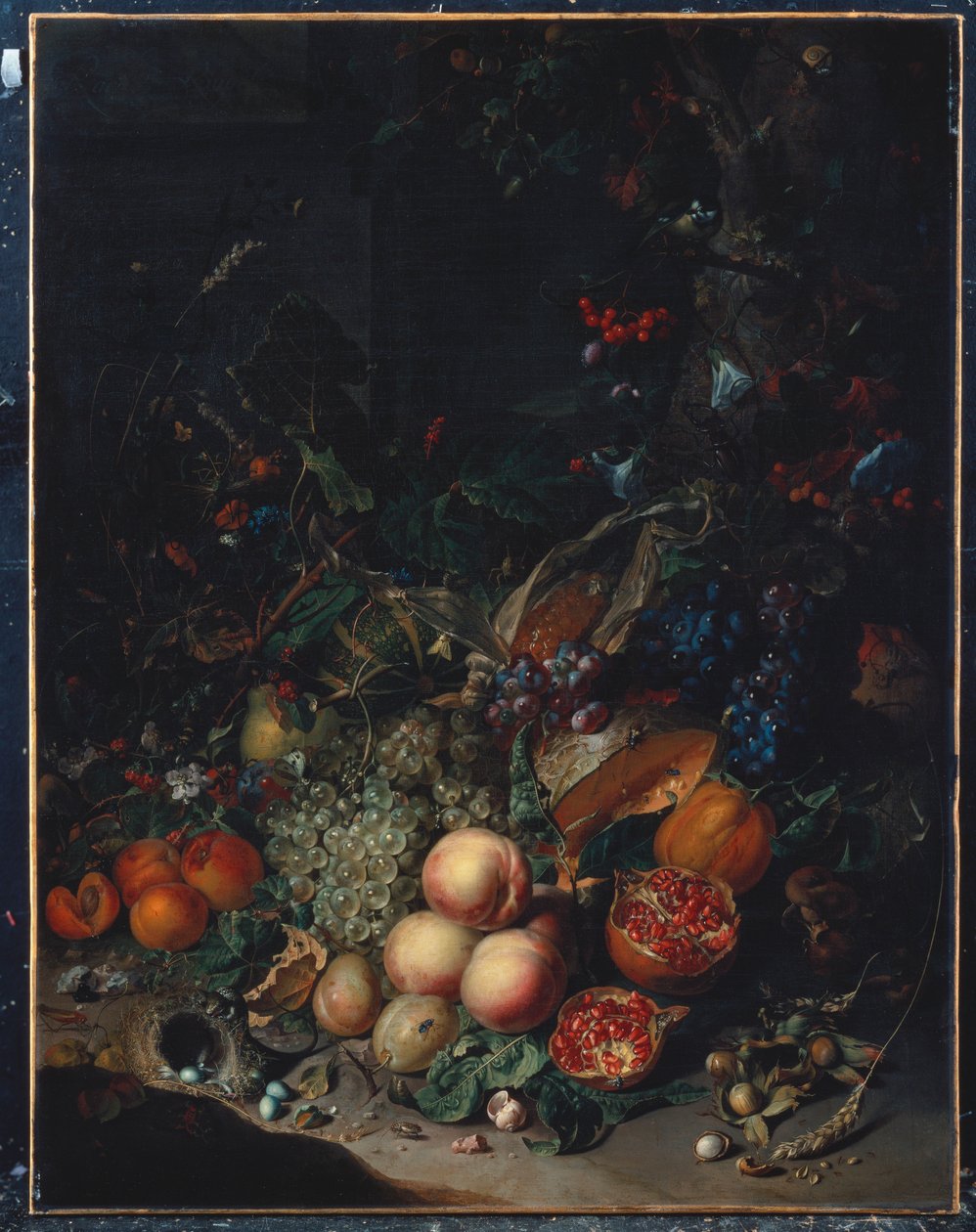 Persikor, vindruvor, granatäpplen, meloner, en majskolva, aprikoser, plommon, päron, ekollon, 1718 av Rachel Ruysch