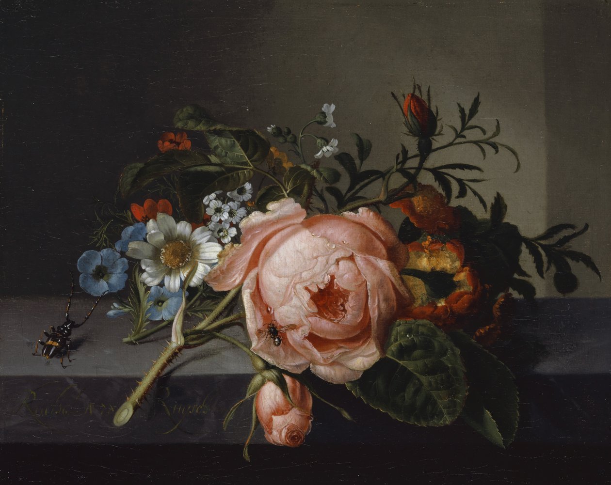 Stilleben med rosengren, skalbagge och bi, 1741 (olja på duk monterad på ek) av Rachel Ruysch