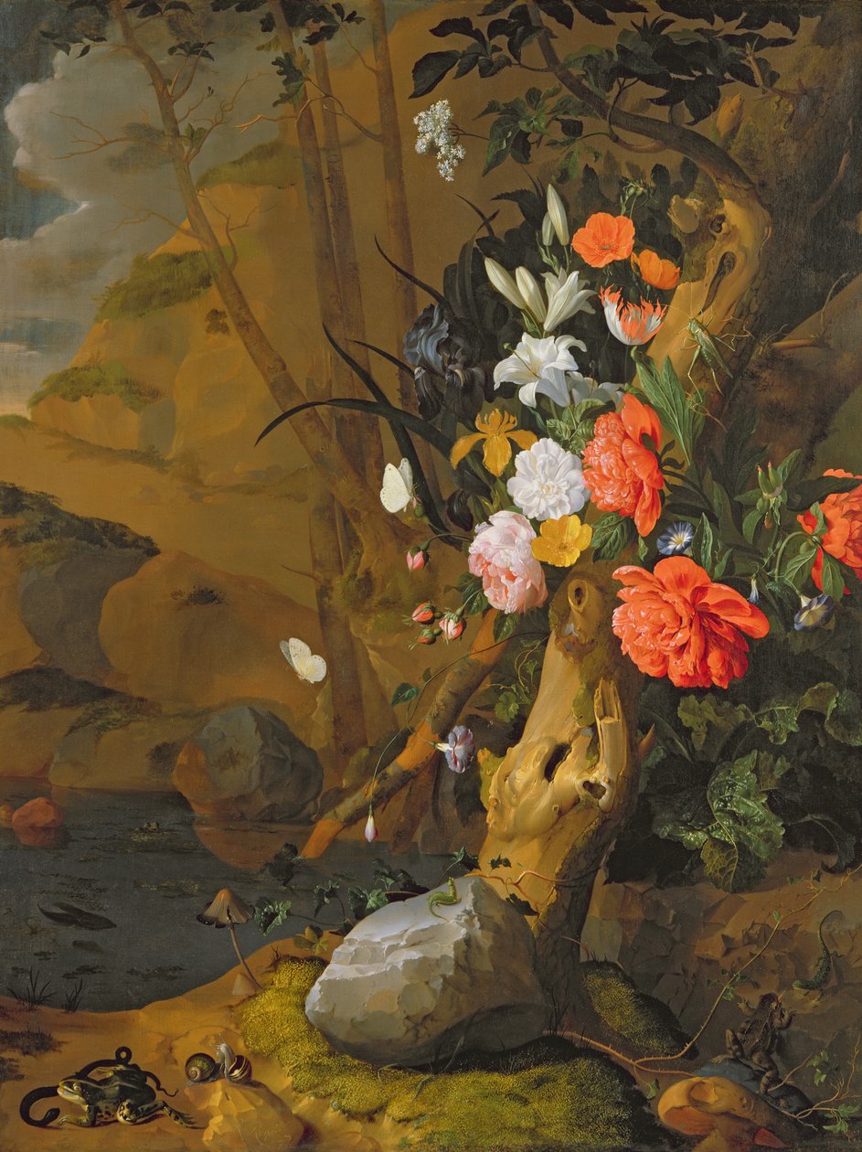 Okänd bild av Rachel Ruysch