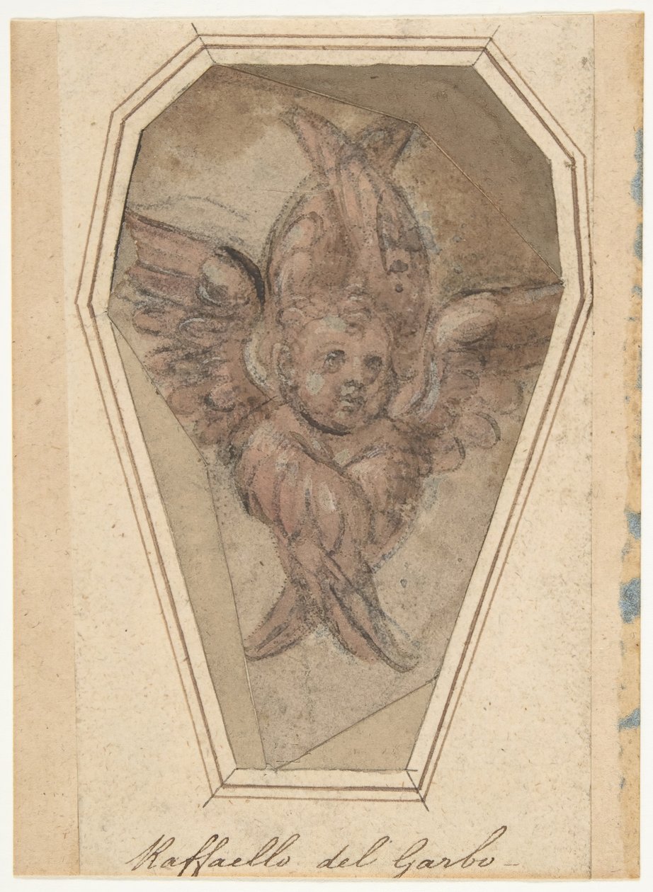 En Seraph Cartoon för ett broderi, 1466-1524. av Raffaellino del Garbo