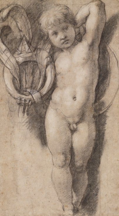 Putto with Medici Symbols  av Raffaello Sanzio Raphael