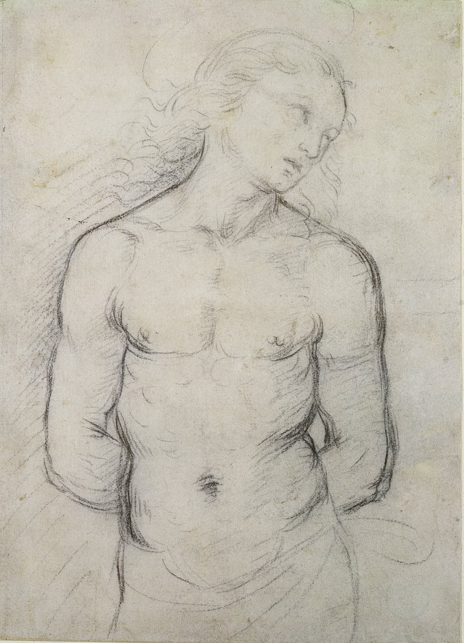 Mtakatifu Sebastian, 1499-1500 (chaki nyeusi kwenye karatasi nyeupe)swed av Raffaello Sanzio Raphael
