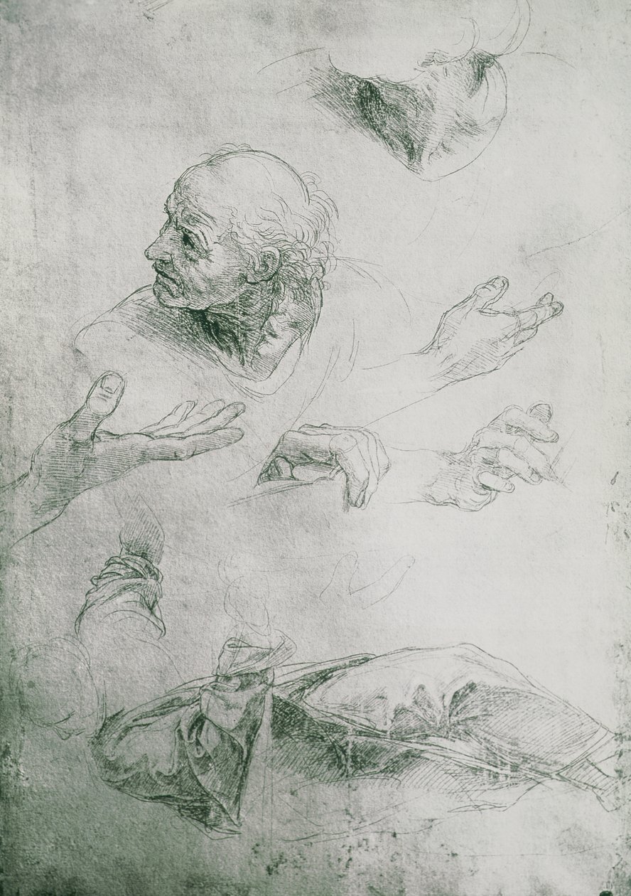 Studier för figuren av Bramante (1444-1515) av Raffaello Sanzio Raphael
