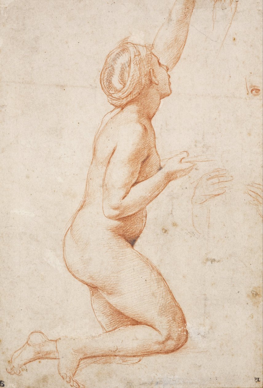 A Kneeling Nude Woman with her Left Arm Raised av Raffaello Sanzio Raphael