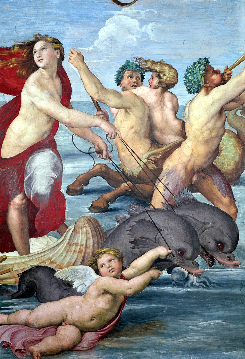 Galatea, detalj av sjömän och delfiner, 1506 freskdetalj av 56473 av Raffaello Sanzio Raphael