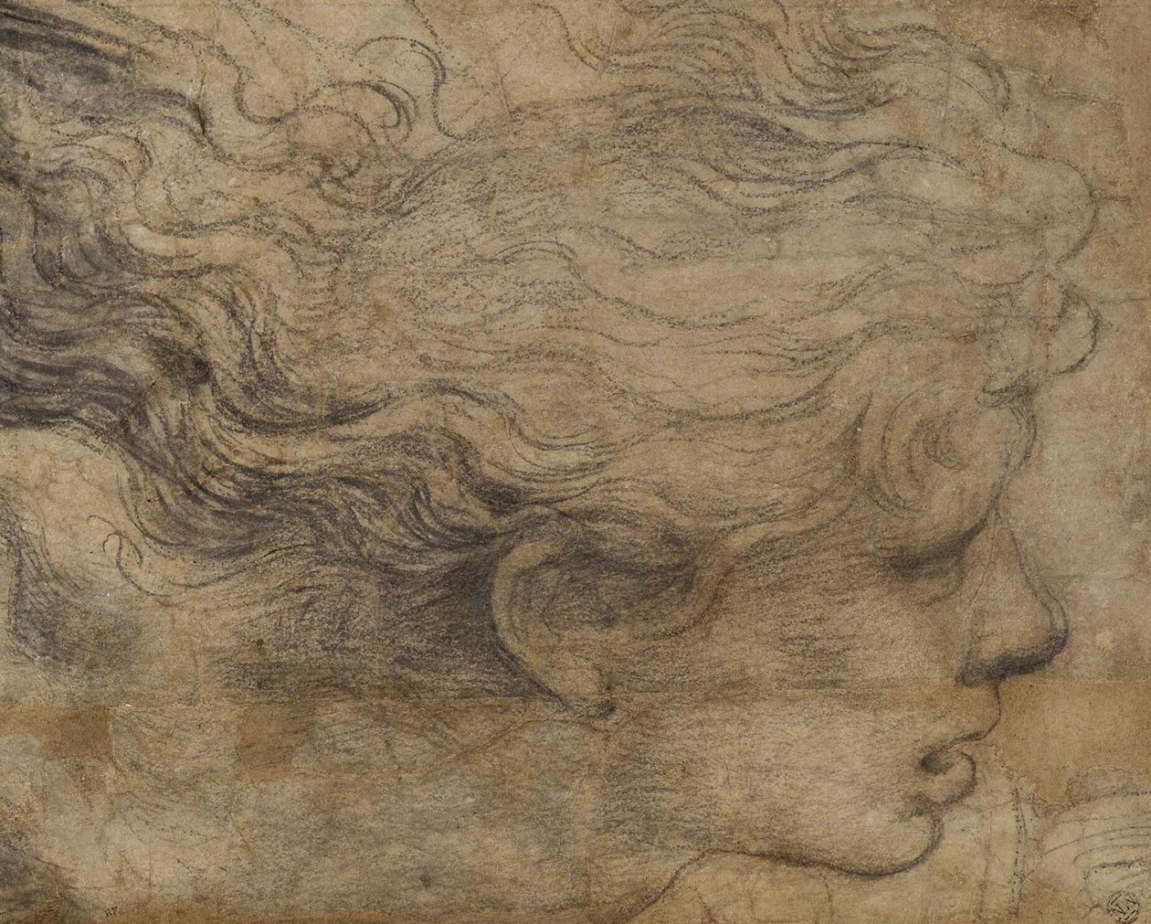 Huvudet av en ängel. av Raffaello Sanzio Raphael