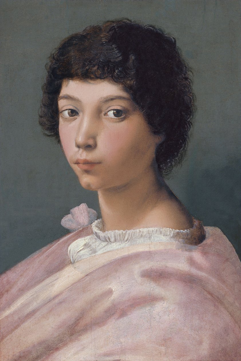 Porträtt av en ung man av Raffaello Sanzio Raphael