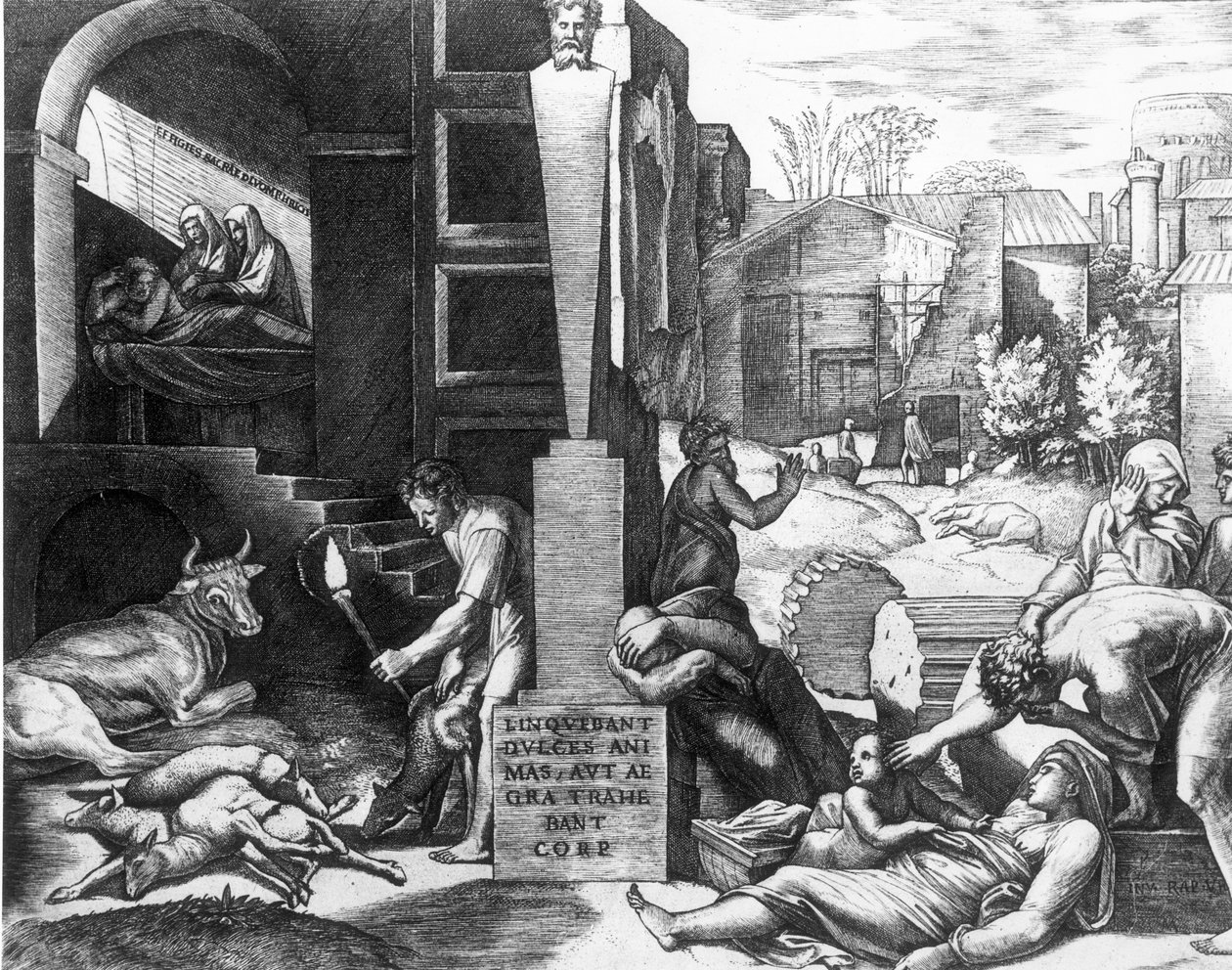 Pesten hos djur och människor av Raffaello Sanzio Raphael