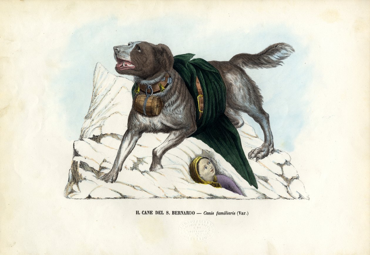 Hundar, 1863-79 av Raimundo Petraroja