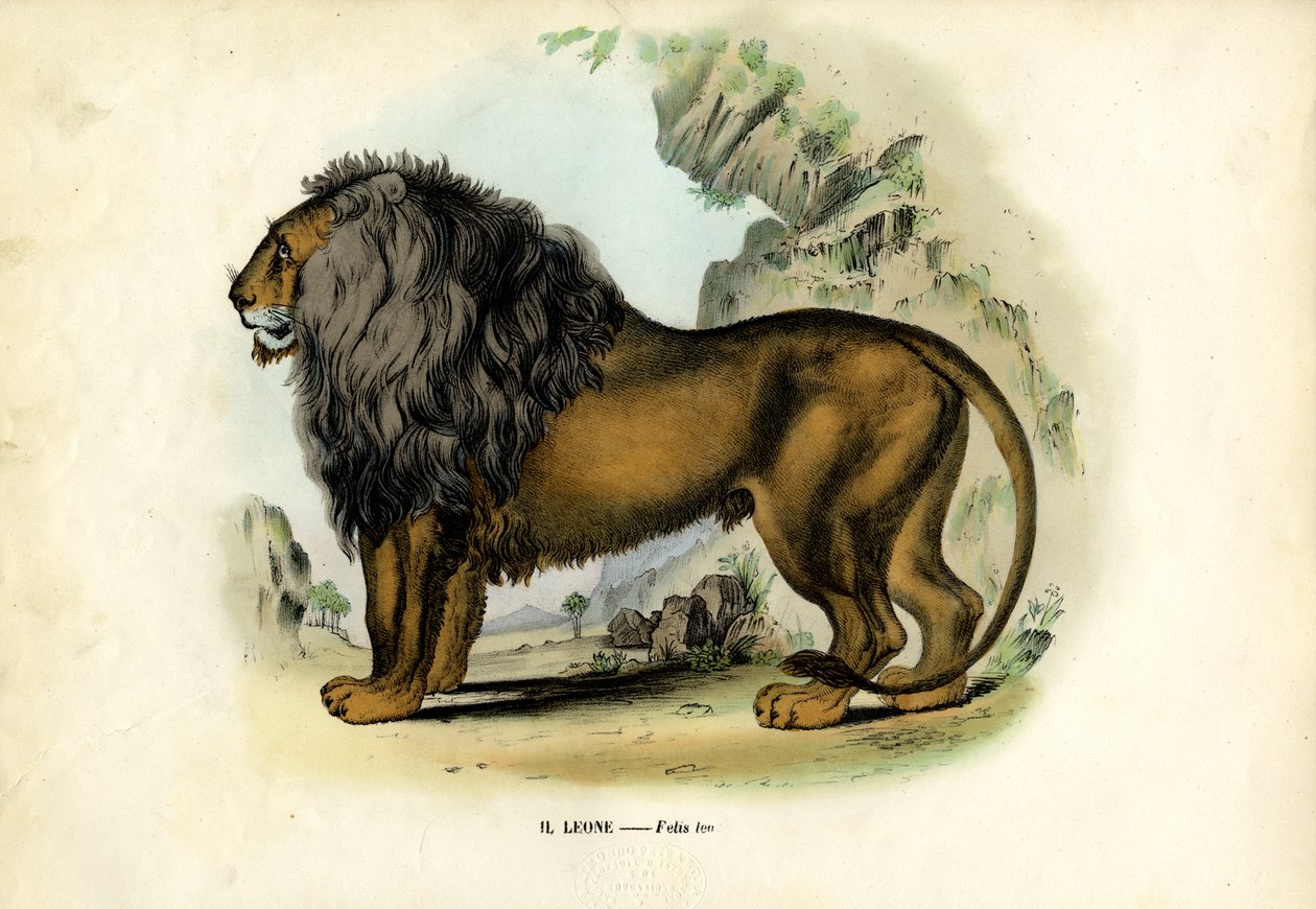 Lejon, 1863-79 av Raimundo Petraroja