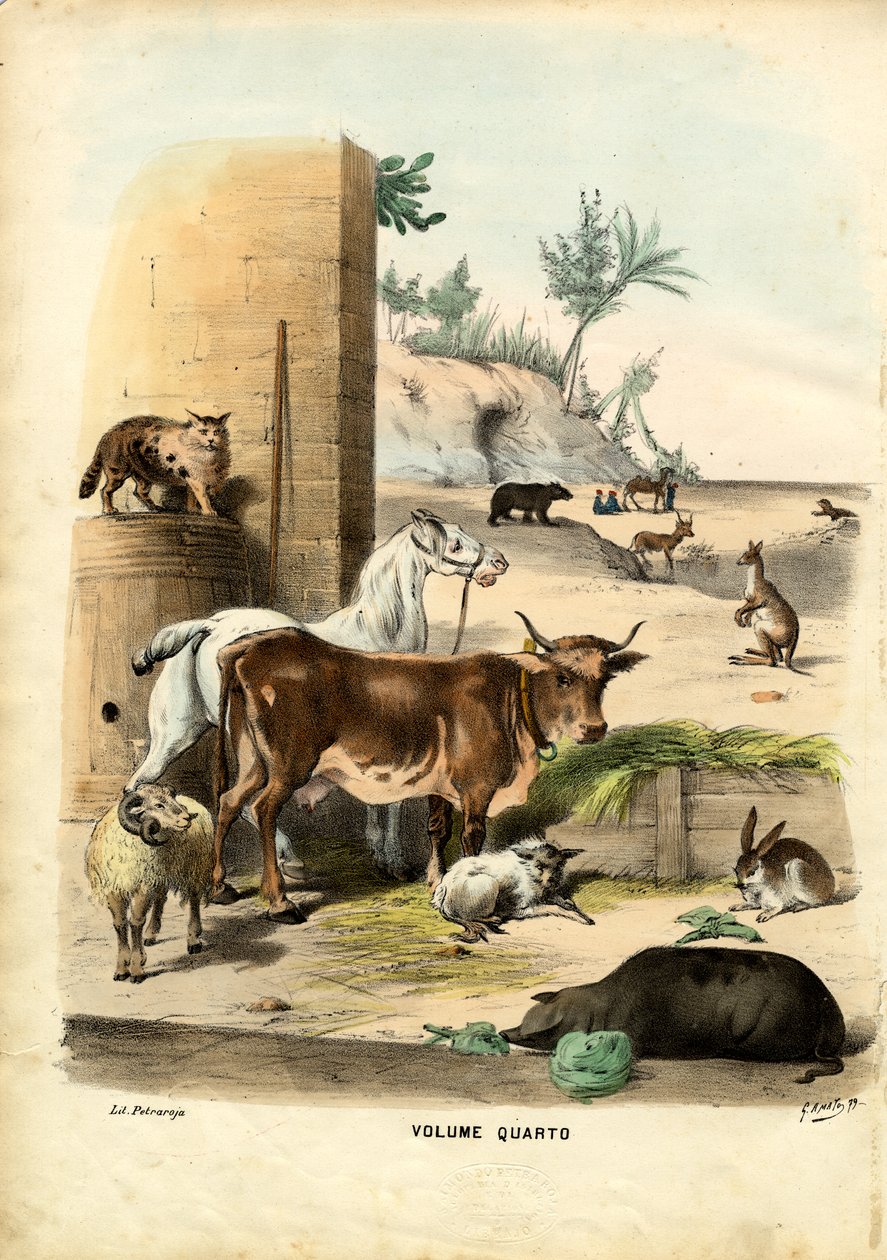 Titelblad, 1863-79 av Raimundo Petraroja