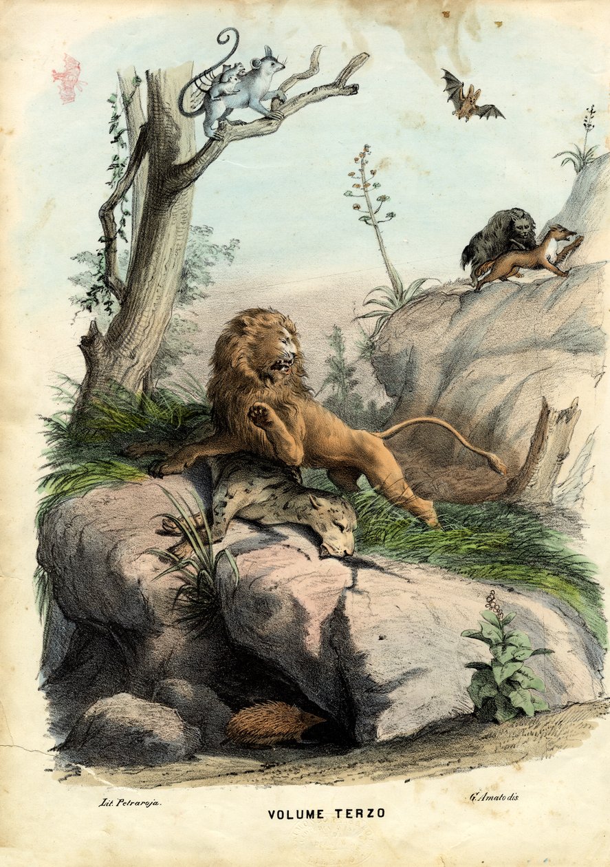 Titelblad, 1863-79 av Raimundo Petraroja