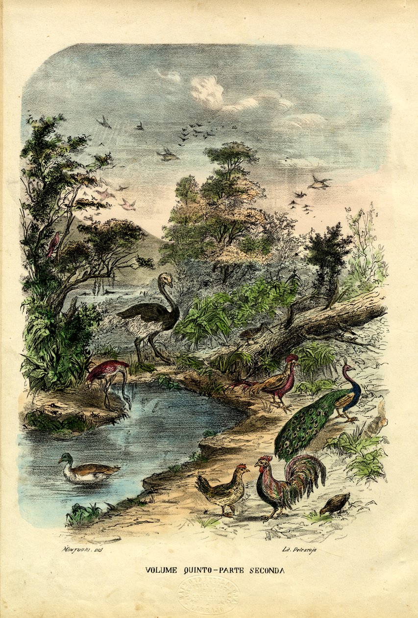 Titelsida, 1863-79 av Raimundo Petraroja