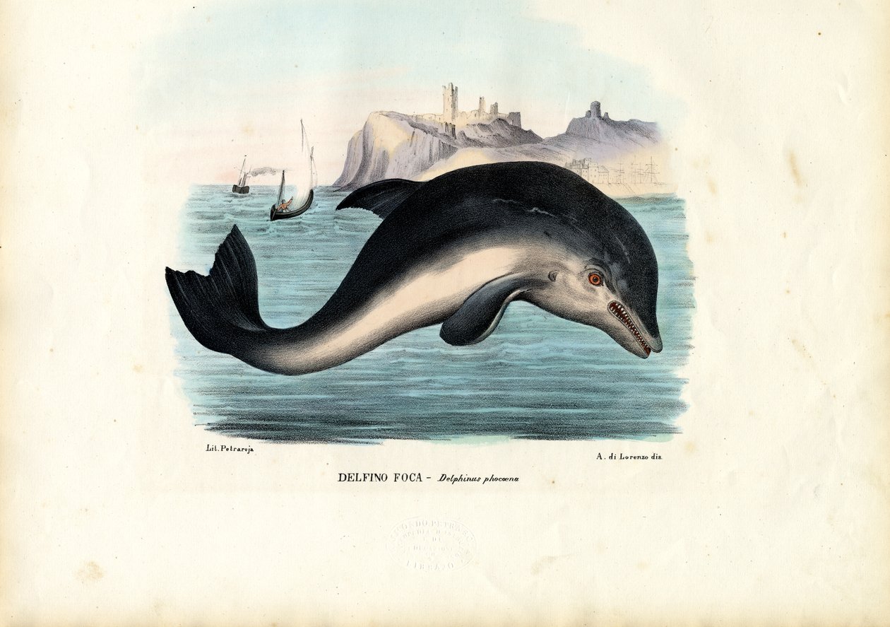 Tumlare, 1863-79 av Raimundo Petraroja