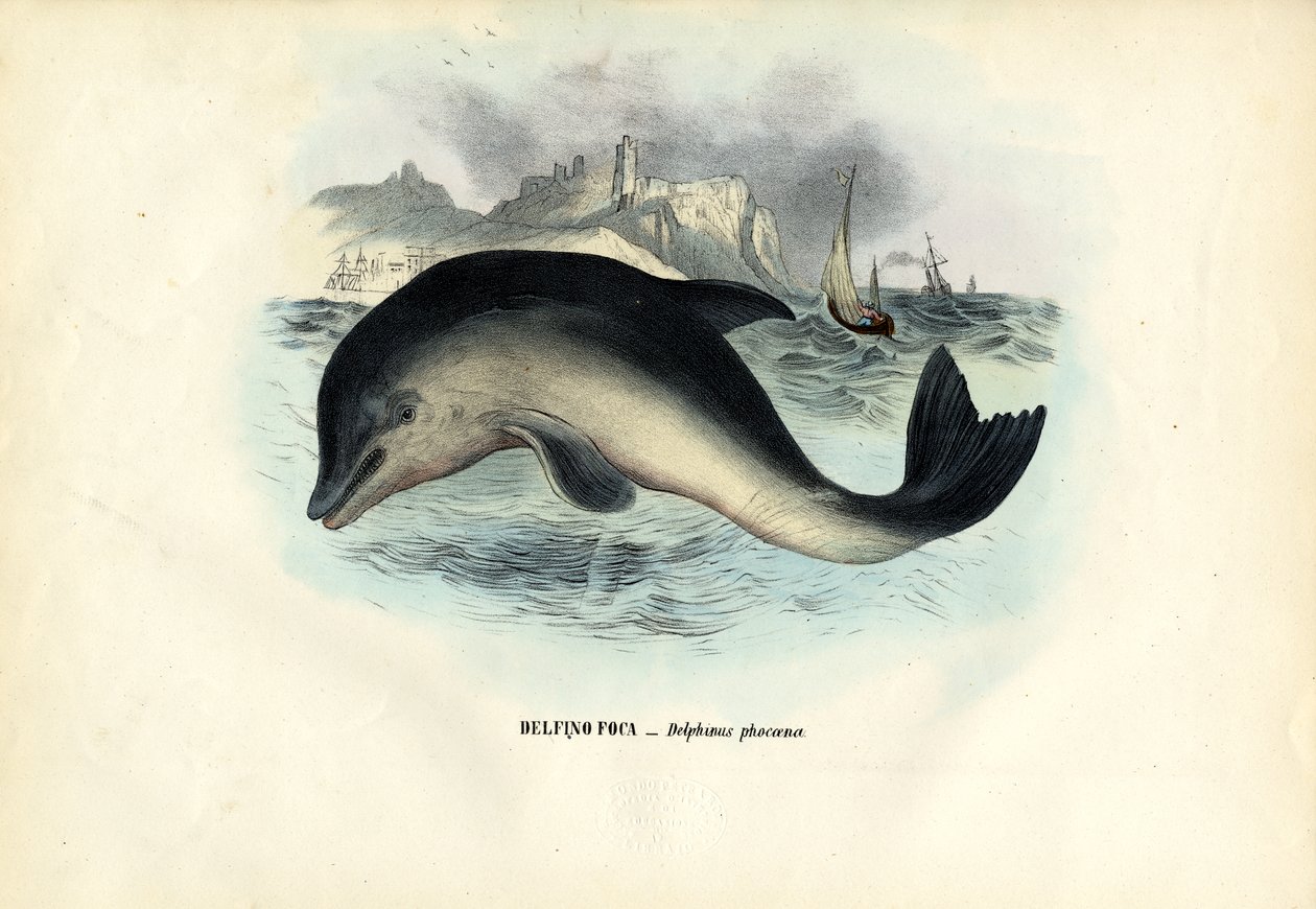 Tumlare, 1863-79 av Raimundo Petraroja